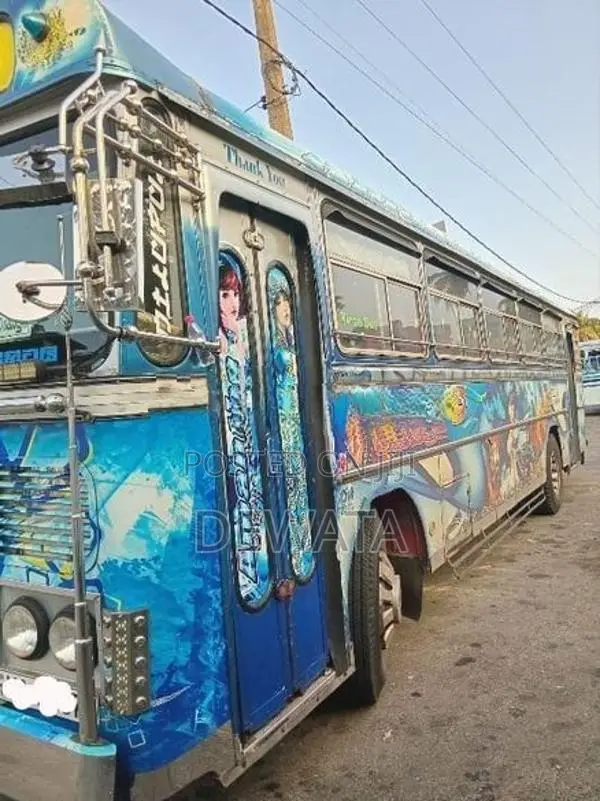 Ashok Leyland Viking 2010