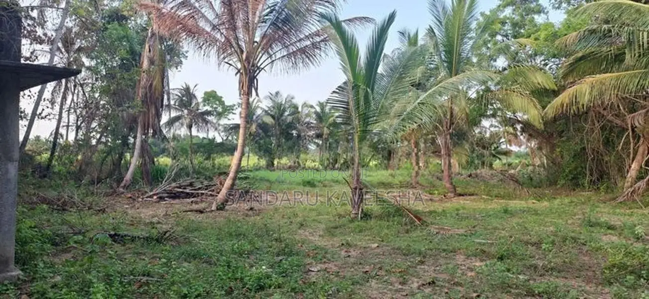 අම්පාරේ හොඳ ස්ථානයක අක්කර 3 ඉඩම