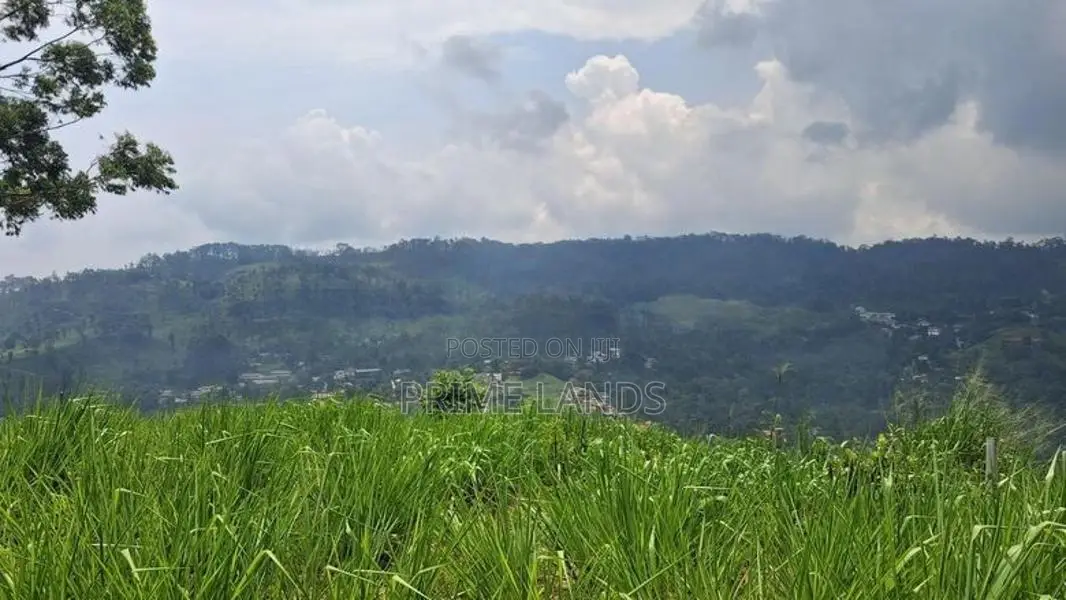 Valuable Land for Sale in Pussellawa Wahurupitiya