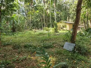 යක්කල වීරගුල පාරට ලඟින් පර්චස් 8 ක ඉඩම
