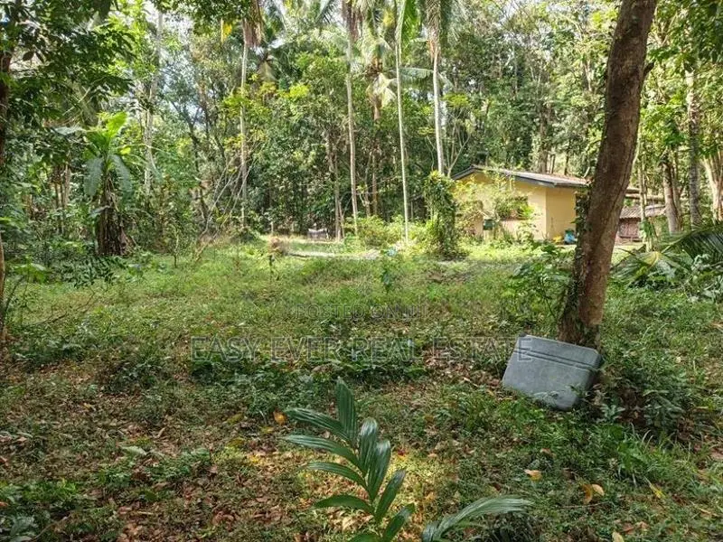 යක්කල වීරගුල පාරට ලඟින් පර්චස් 8 ක ඉඩම