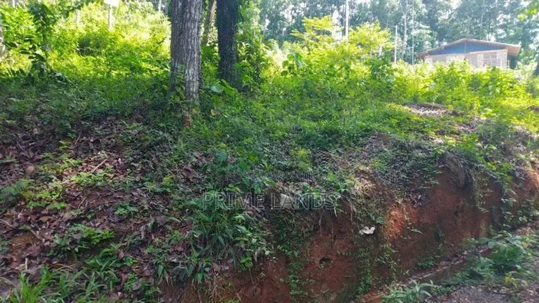 Residential Land for Sale in Nelumdeniya