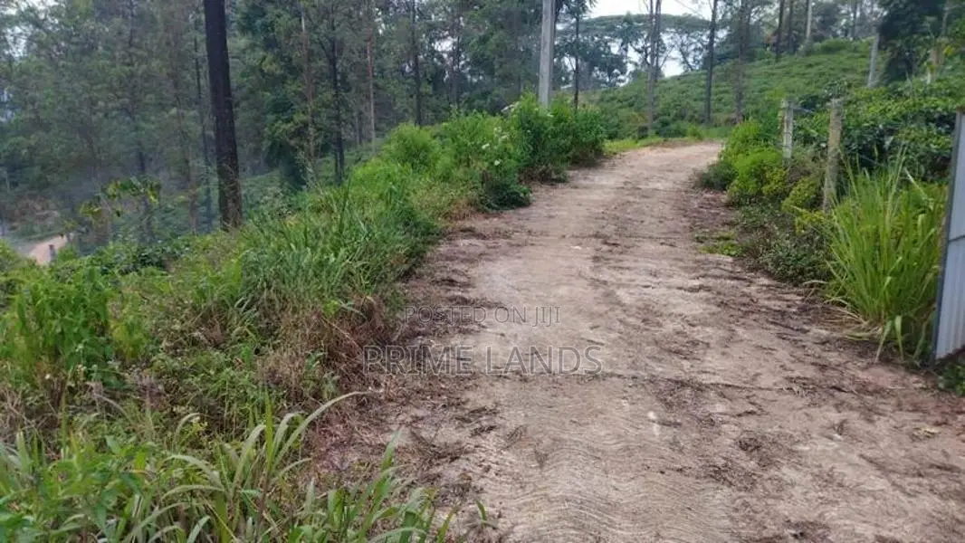 Land for Sale in Pussellawa Delta Estate