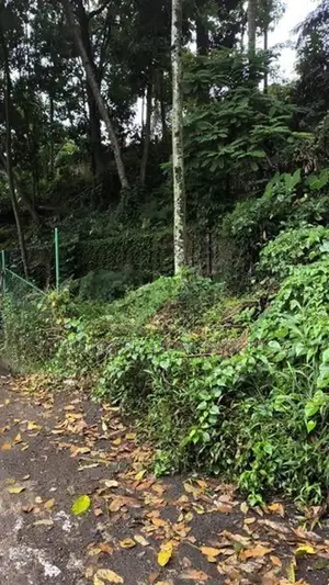 Prime Land for Sale – Kuruduwatta