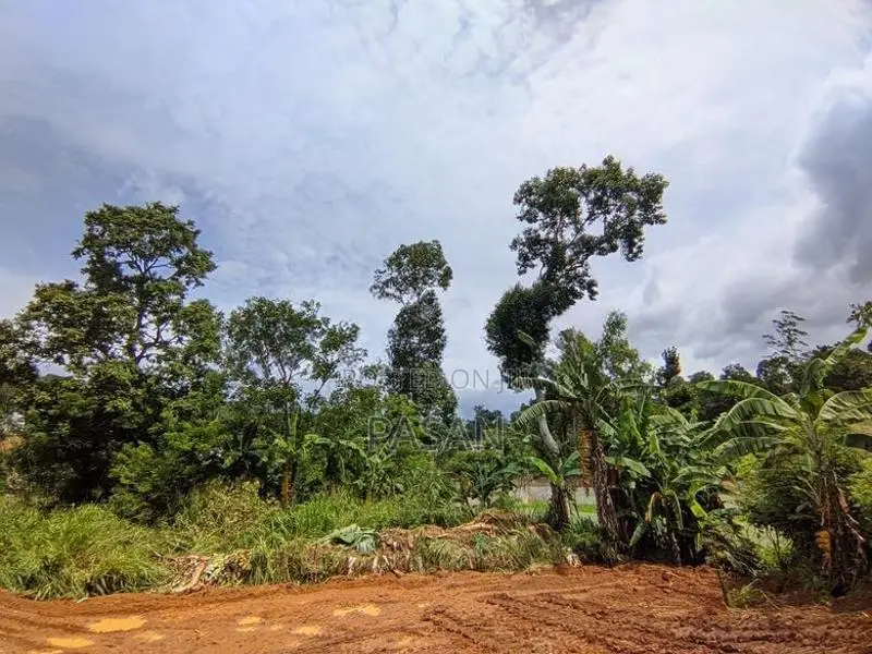 Land for Sale Bandarawela