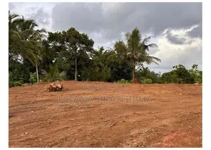 80 Perch Land for Sale in Gonapola Plot