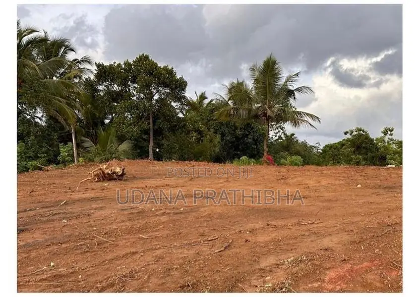 80 Perch Land for Sale in Gonapola Plot