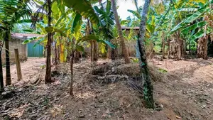 නිට්ටඹුව – නවගමුව පාරෙන් වටිනා ඉඩමක්