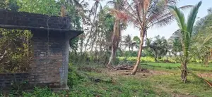 අම්පාරේ හොඳ ස්ථානයක අක්කර 3 ඉඩම