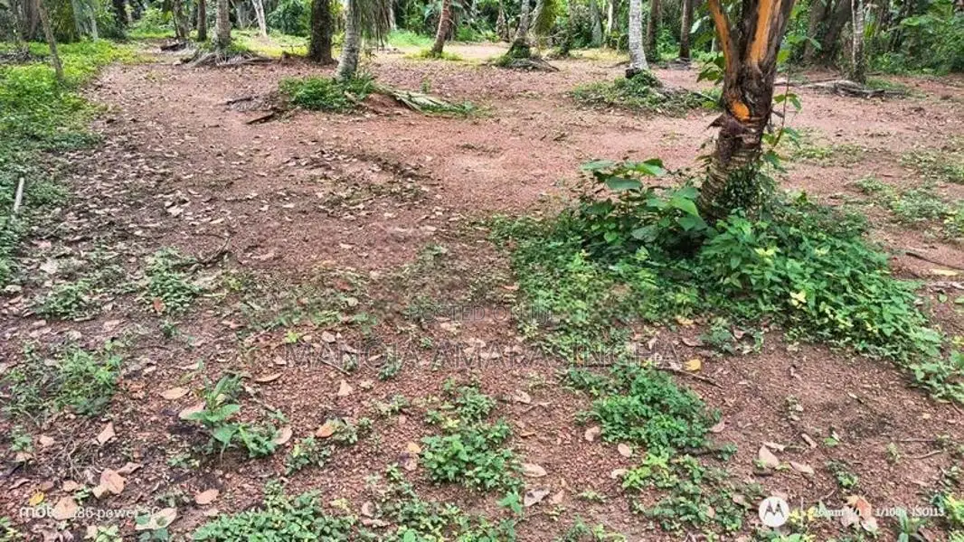 Residential Land for Sale Udugampola