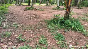 Residential Land for Sale Udugampola