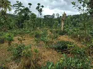 Land for Sale in Kandy Pilimatalawa