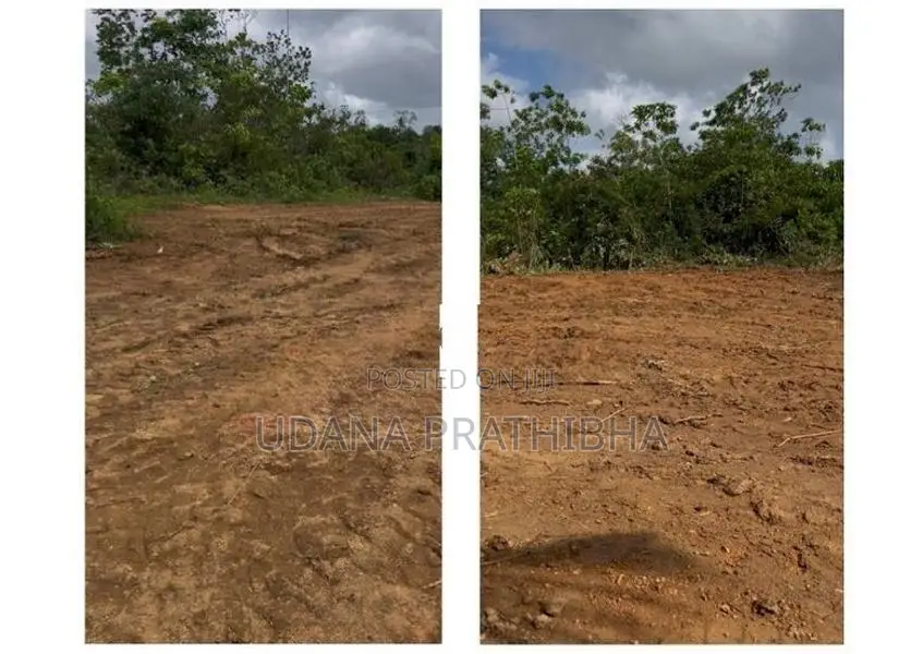 80 Perch Land for Sale in Gonapola Plot