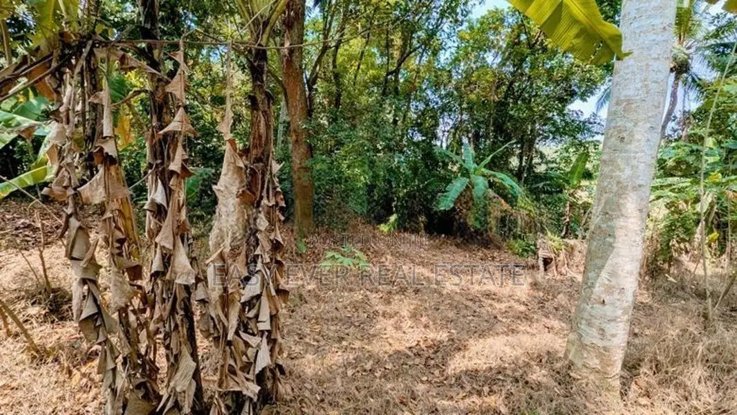නිට්ටඹුව – නවගමුව පාරෙන් වටිනා ඉඩමක්