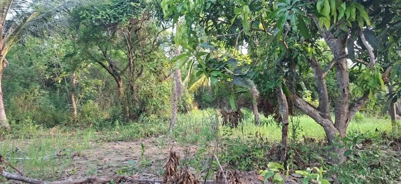 අම්පාරේ හොඳ ස්ථානයක අක්කර 3 ඉඩම