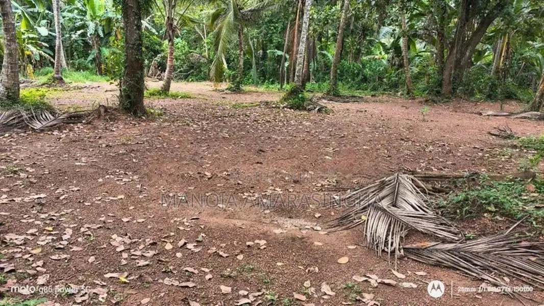 Residential Land for Sale Udugampola