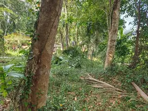 යක්කල වීරගුල පාරට ලඟින් පර්චස් 8 ක ඉඩම