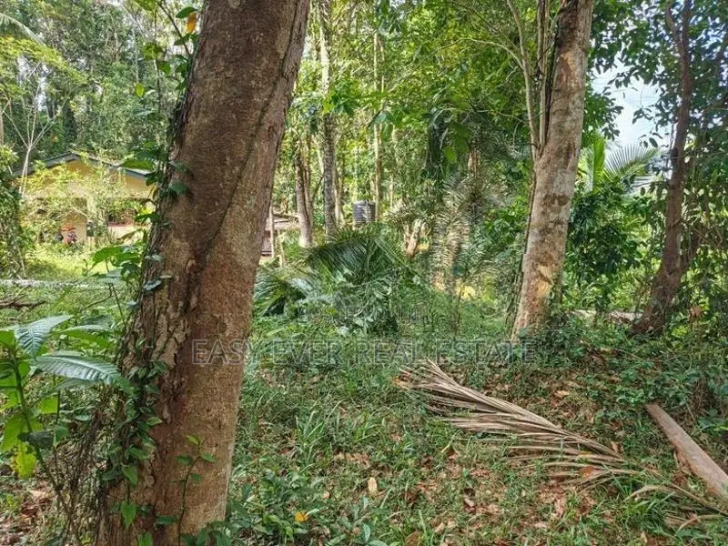 යක්කල වීරගුල පාරට ලඟින් පර්චස් 8 ක ඉඩම