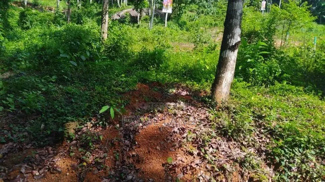 Residential Land for Sale in Nelumdeniya