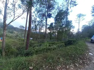 Land for Sale in Pussellawa Delta Estate