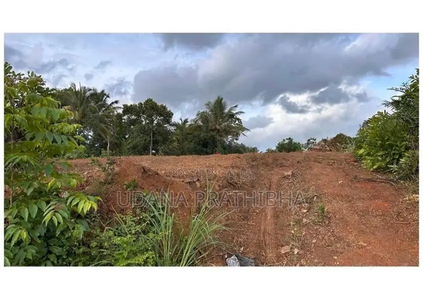 80 Perch Land for Sale in Gonapola Plot