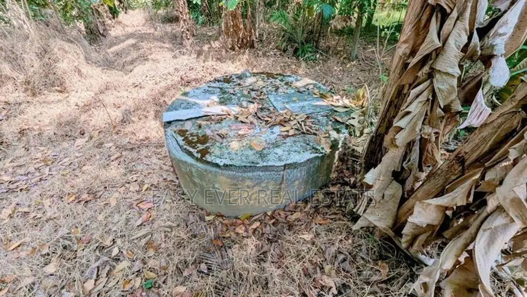 නිට්ටඹුව – නවගමුව පාරෙන් වටිනා ඉඩමක්