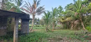 අම්පාරේ හොඳ ස්ථානයක අක්කර 3 ඉඩම