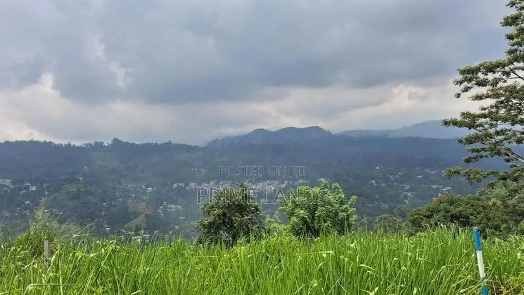 Valuable Land for Sale in Pussellawa Wahurupitiya