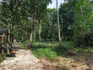 යක්කල වීරගුල පාරට ලඟින් පර්චස් 8 ක ඉඩම