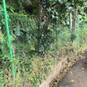 Valuable Land for Sale – Kandy City