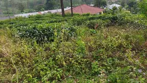 Land for Sale in Pussellawa Delta Estate