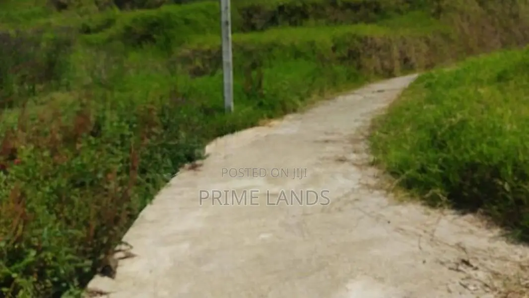 Land for Sale in Nuwaraeliya Abewela