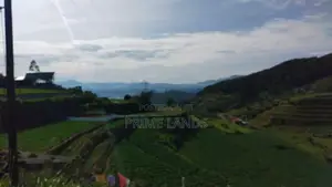 Land for Sale in Nuwaraeliya Abewela