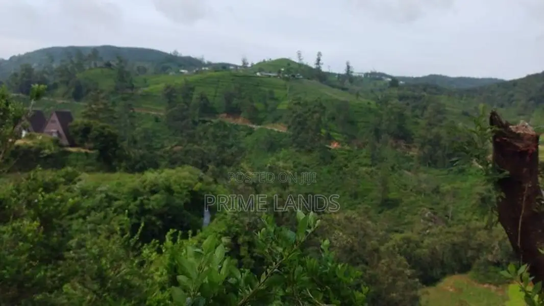 Land for Sale in Nuwaraeliya Abewela