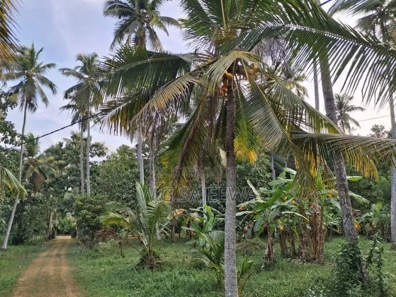very good for Agriculture , farming land with house sale in godigamuwa