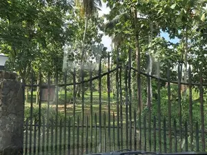 very good for Agriculture , farming land with house sale in godigamuwa