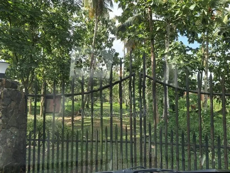 very good for Agriculture , farming land with house sale in godigamuwa