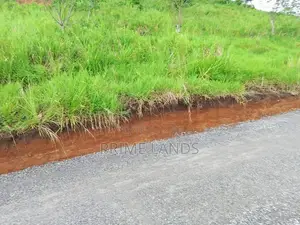 Land For Sale In Kandy Nillabe