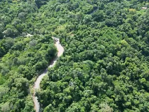 Land for Sale – Ella