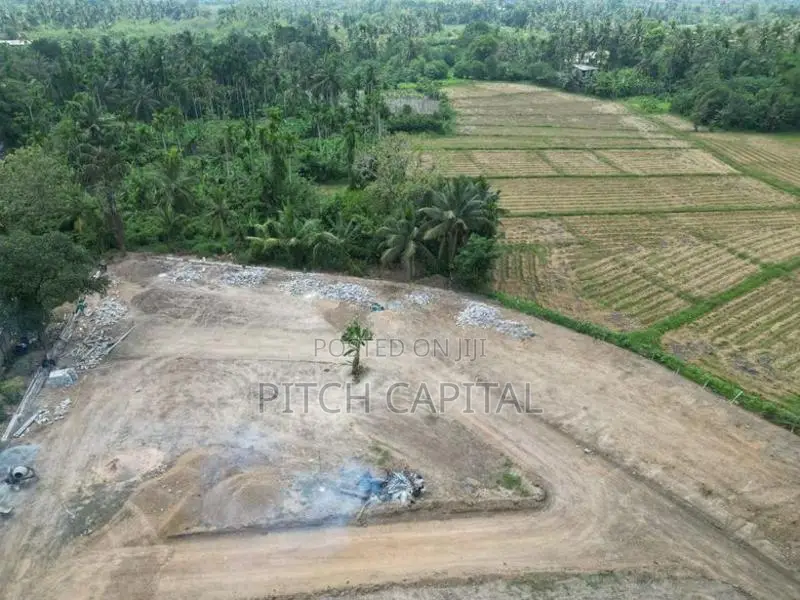 කහ තුඩුවෙන් වෙල්යායට මුණලා වටිනා ඉඩමක්