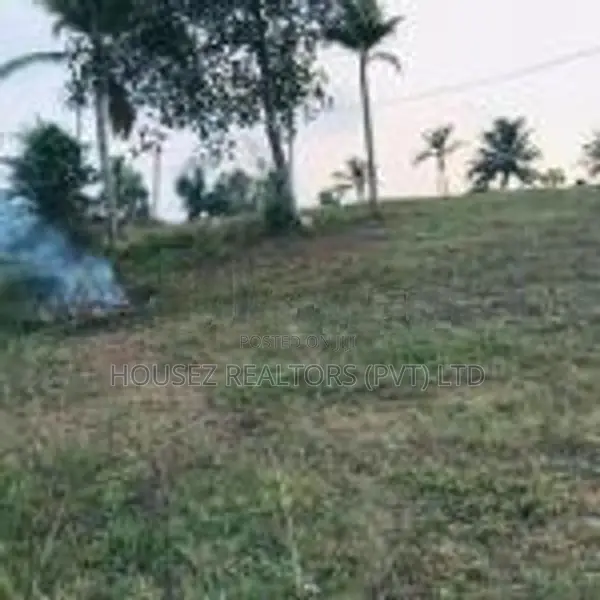 Prime Residential Land for Sale in Kiriberiya, Panadura