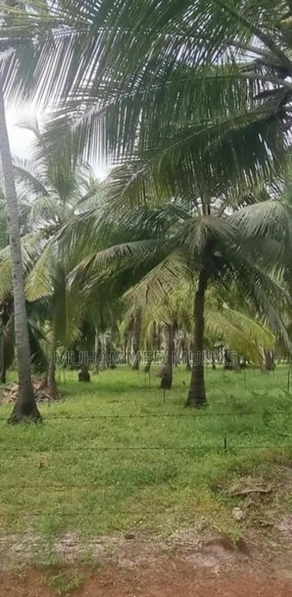 Coconut Land for Sale - Puluthivayal