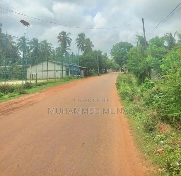 Coconut Land for Sale - Puluthivayal