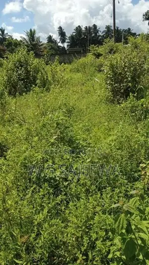 58 perch land for sale in thibirigaskatuwa near st Nicholas school