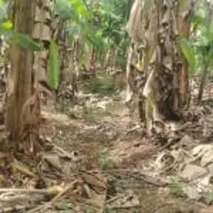 Land for Sale – Godagama