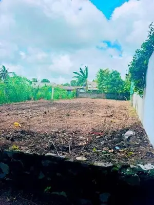 පන්නිපිටියෙන් පර්චස් 10ක බිම් කොටසක්