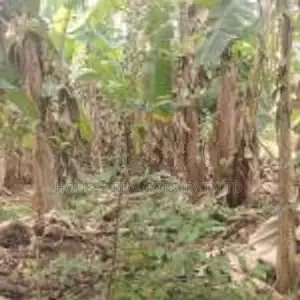 Land for Sale – Godagama