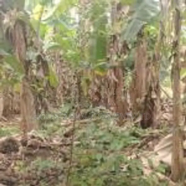Land for Sale – Godagama
