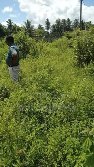 58 perch land for sale in thibirigaskatuwa near st Nicholas school