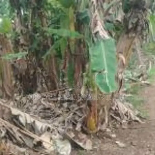 Land for Sale – Godagama